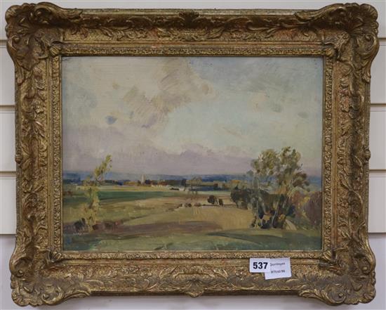 Freda Marston, oil on panel, extensive landscape, label verso, 30 x 40cm